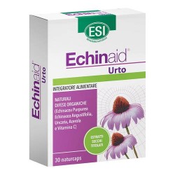 Echinaid cps. a 30